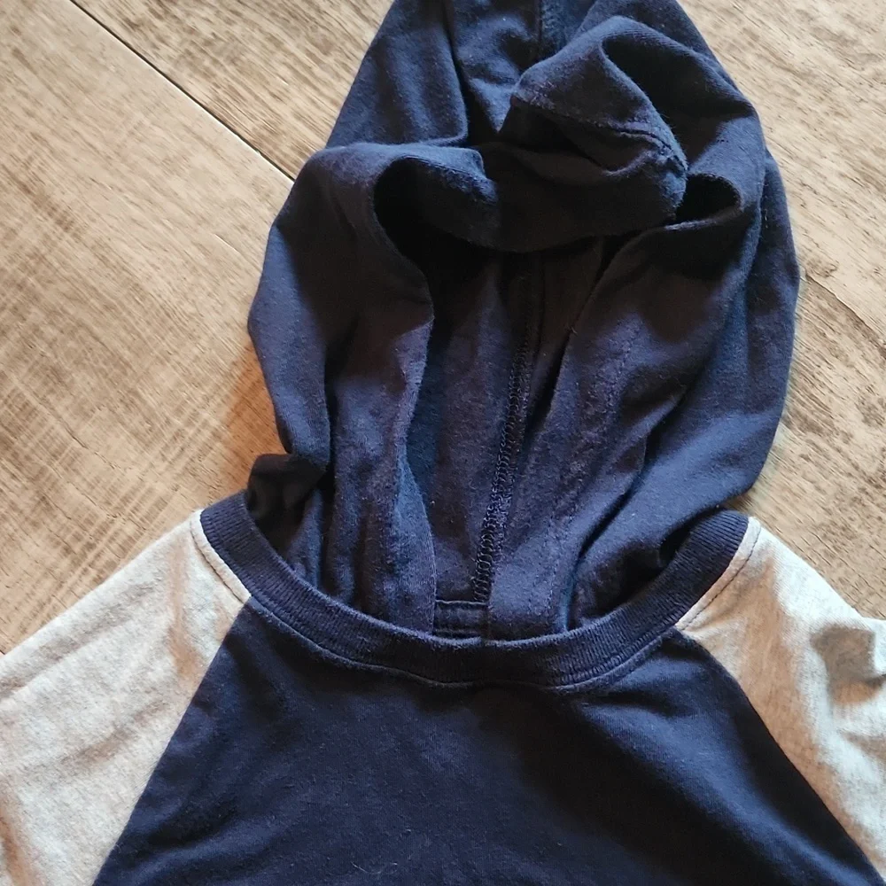 Children's Place long Sleev Hooded Tee